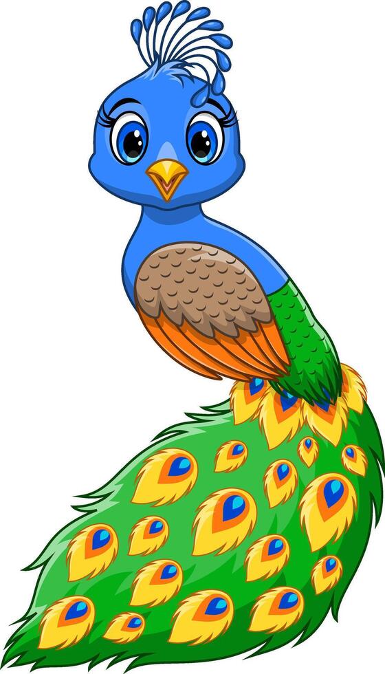 Beautiful peacock cartoon on white background vector