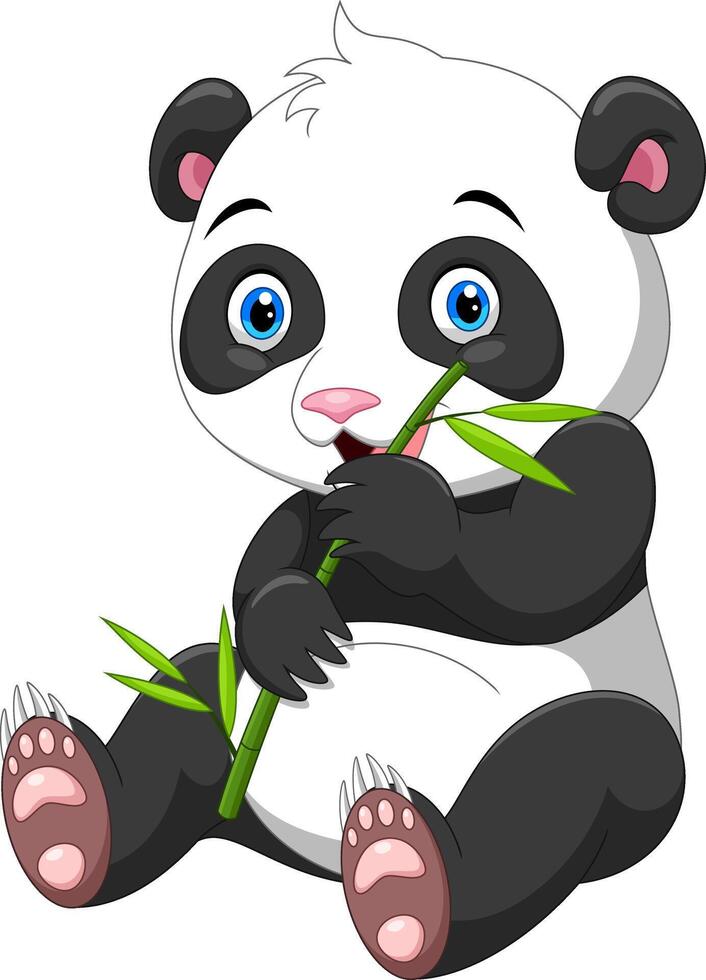Cute baby panda with bamboo isolated on white background vector