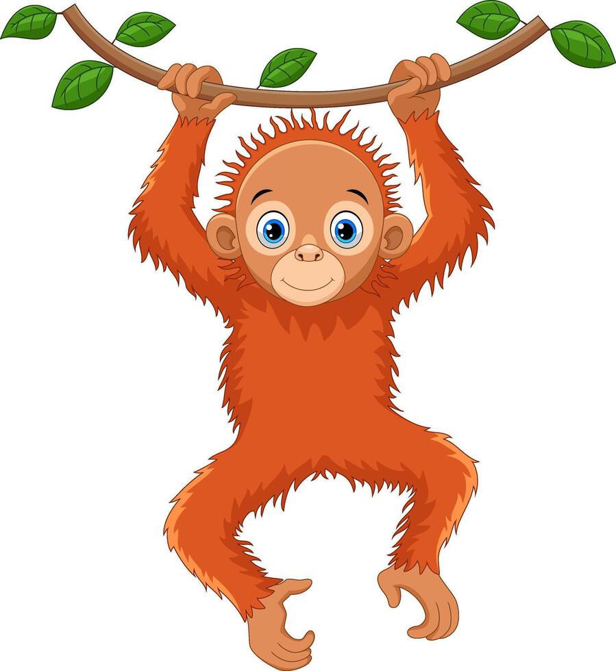 Cute orangutan cartoon hanging on a tree branch vector