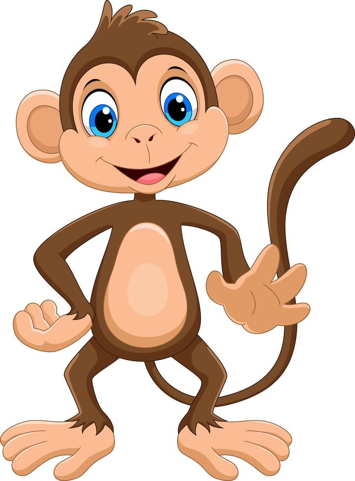 Cartoon happy monkey on white background vector