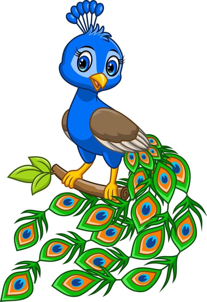 Beautiful peacock cartoon on white background vector