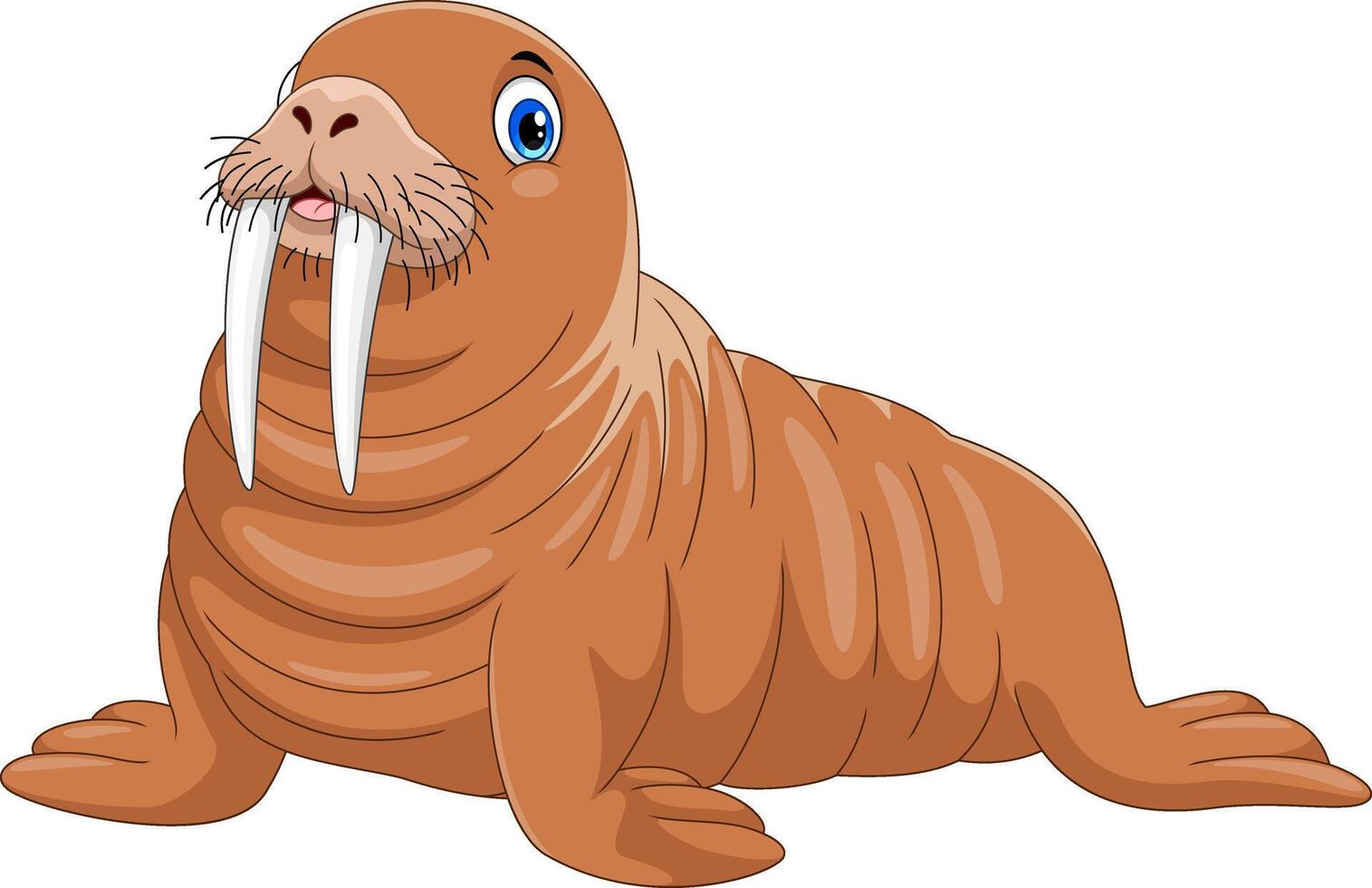 Cartoon funny walrus on white background vector