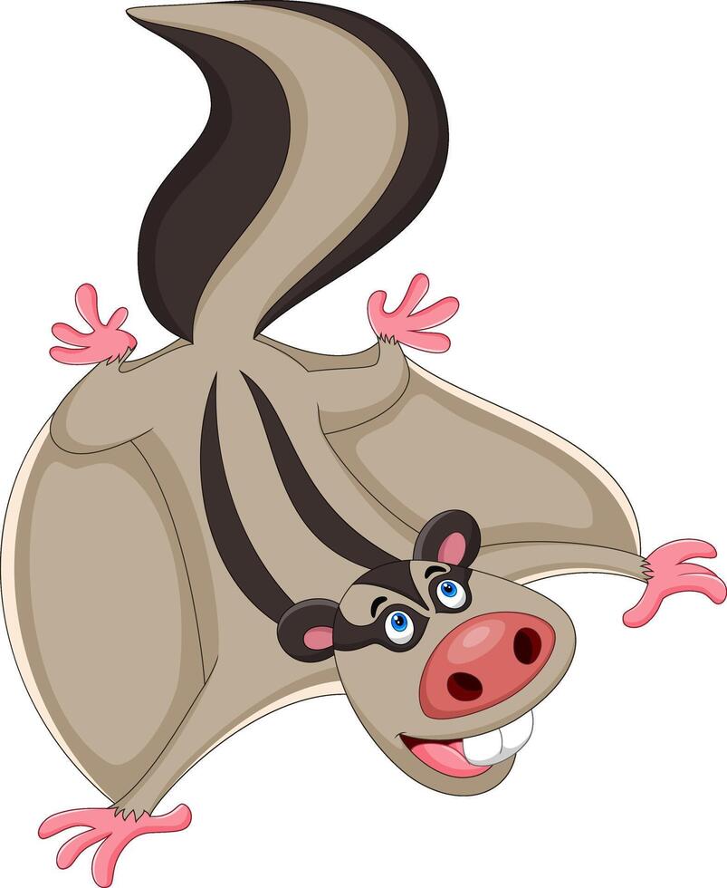 Flying squirrel cartoon isolated on white background vector