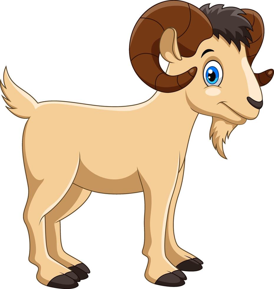 Cute goat cartoon on white background vector