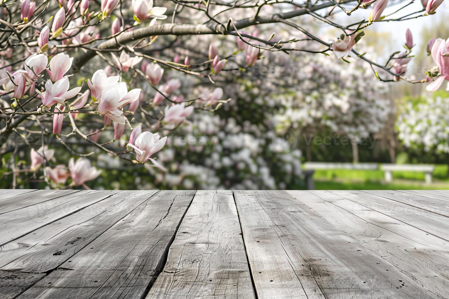 A wooden table with a magnolia tree in the background. photo