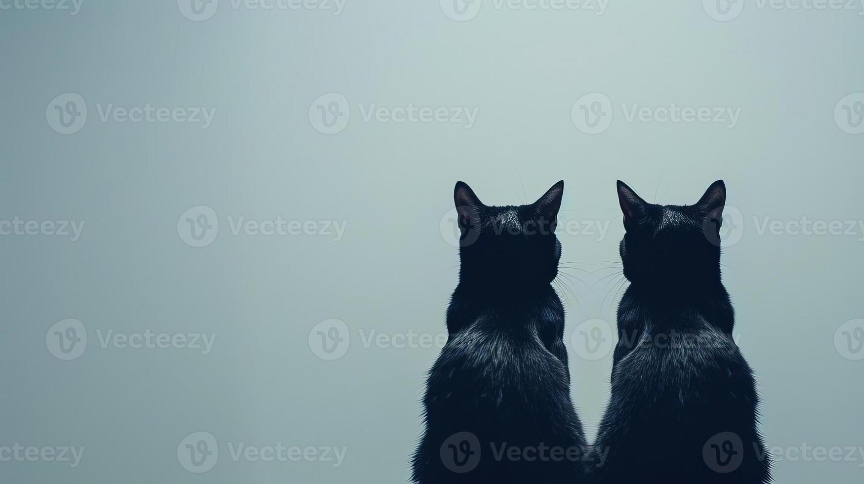 Silhouetted black cats with arched backs, eerie background, editorial photography, empty space for text on side photo