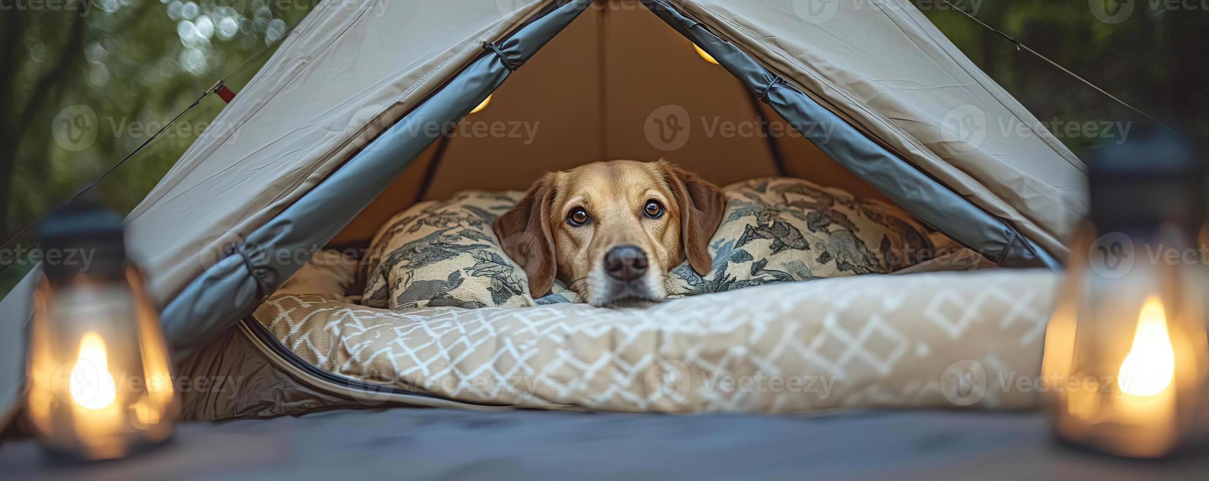 Dog peeking out of a tent with luxury bedding, surrounded by lanterns and nature, glamping with your pet, comfortable and adventurous photo