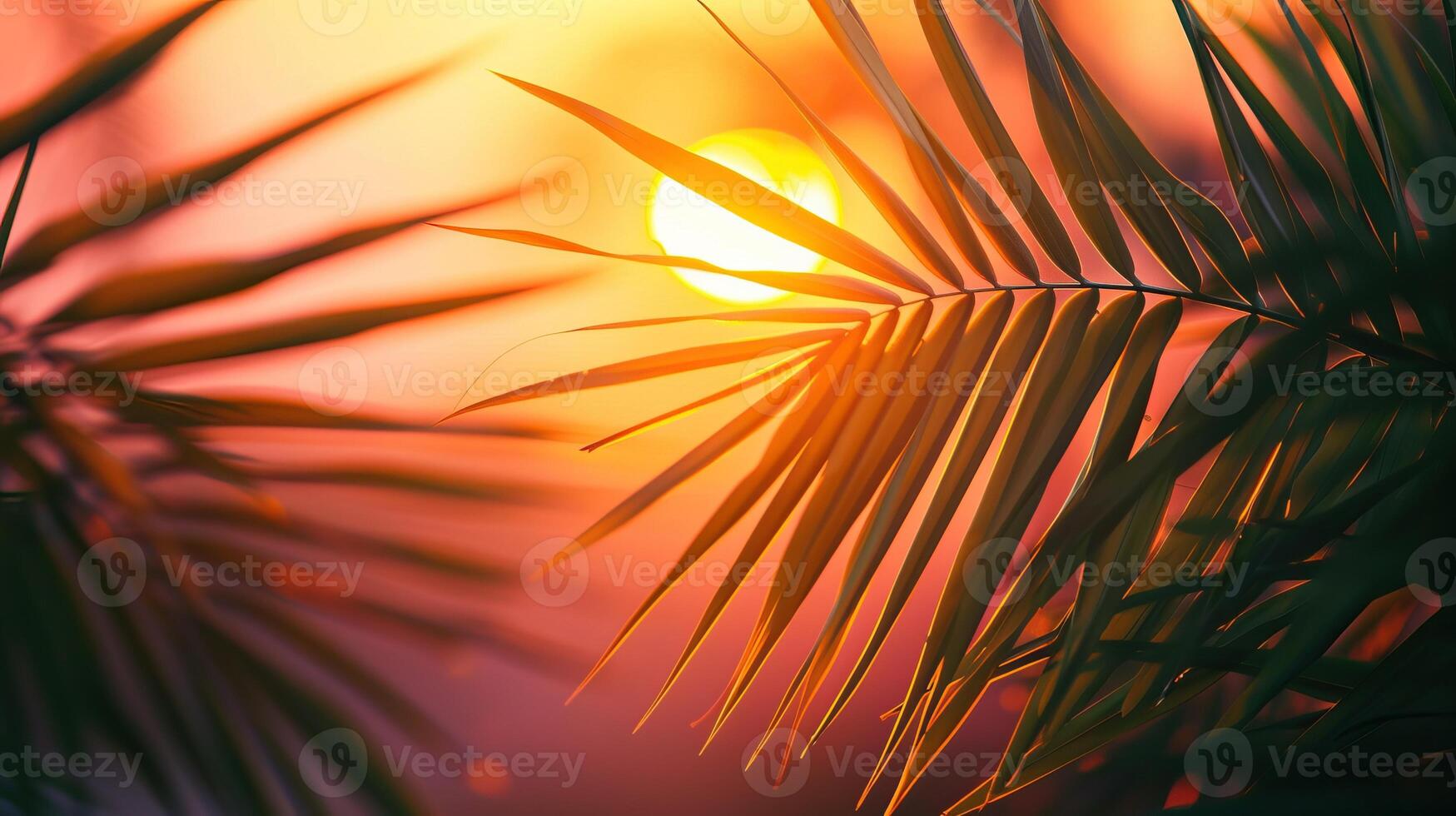 The setting sun casts long shadows over the palm trees on the beach. photo