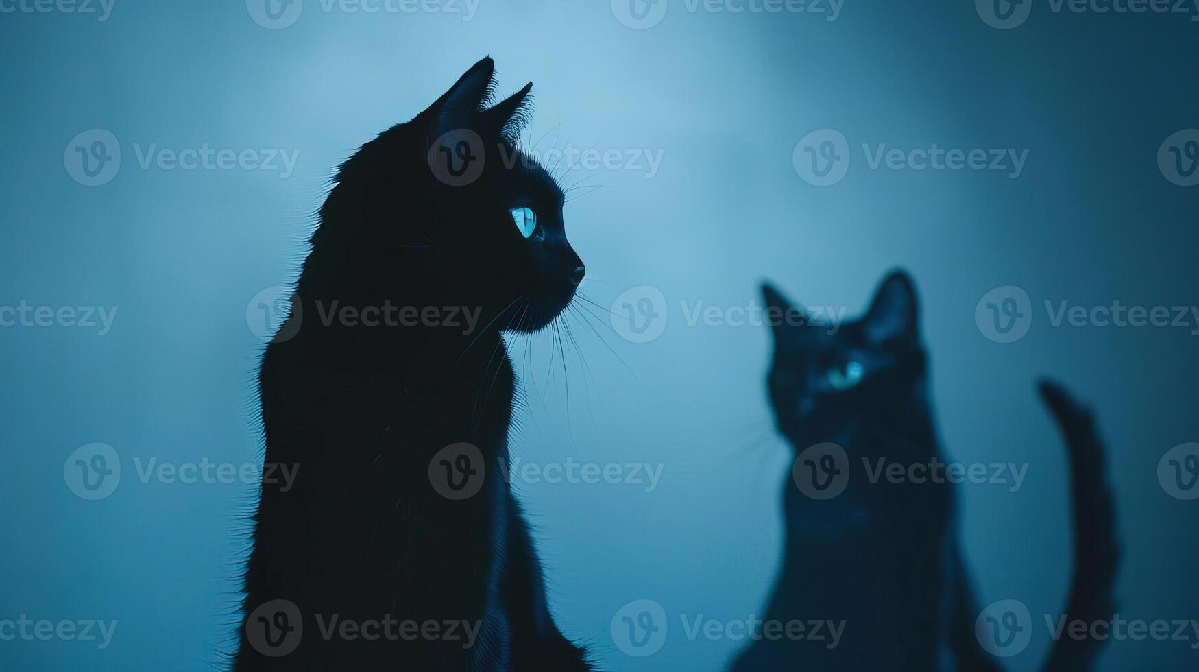 Black cat silhouettes with arched backs and poised tails, haunting and enigmatic, editorial shot, empty copy space for text photo