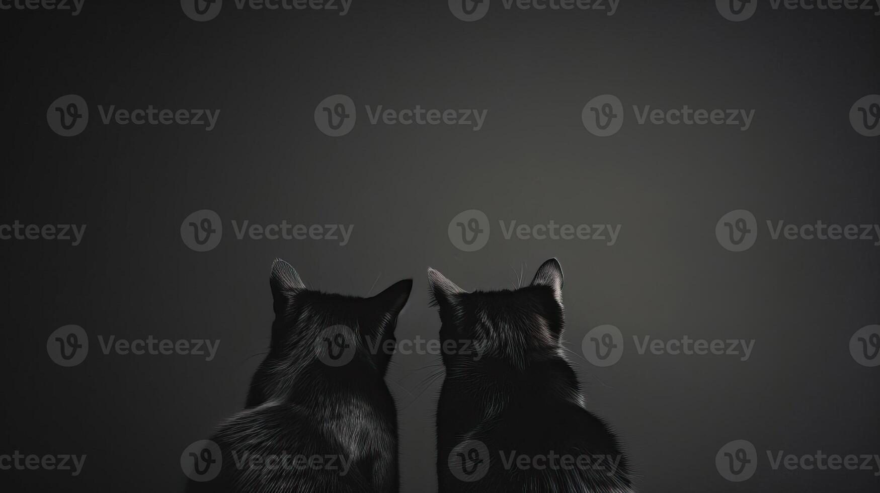 Silhouetted black cats with arched backs, eerie background, editorial photography, empty space for text on side photo