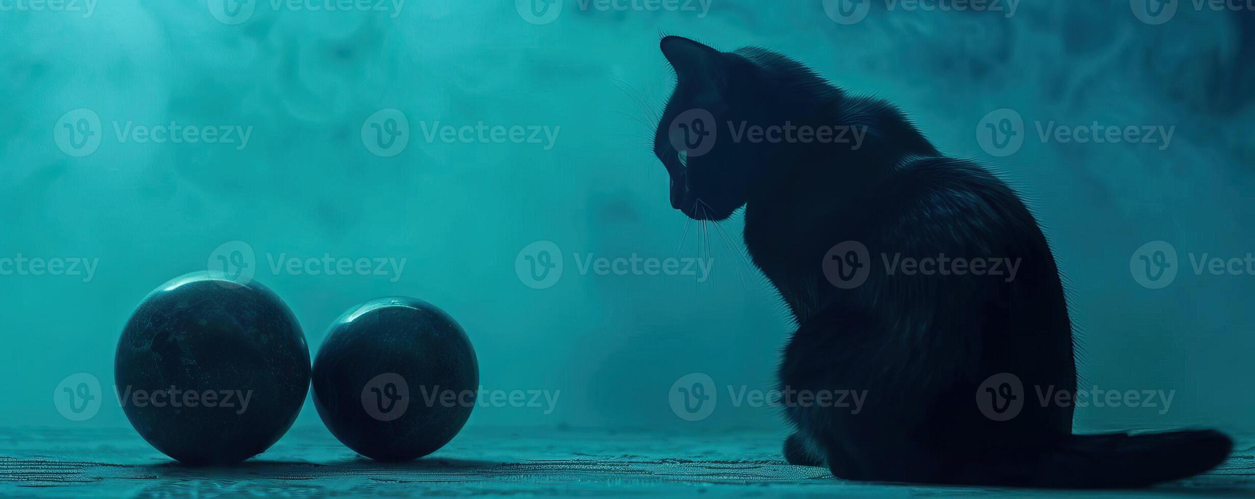 Close-up of black cat silhouettes next to crystal balls with ethereal mist, creating a chilling and mysterious background, editorial photography, empty space for text on left photo