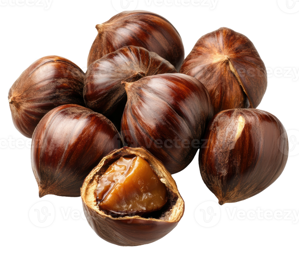 Fresh chestnuts in a group with one open, cut out - stock . png