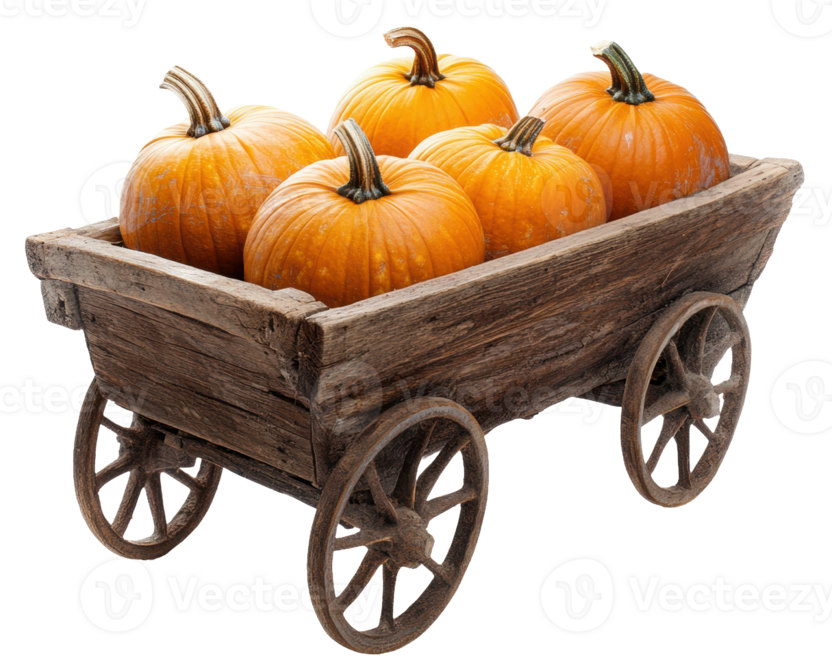 Rustic wooden cart with pumpkins for harvest decor, cut out - stock . png