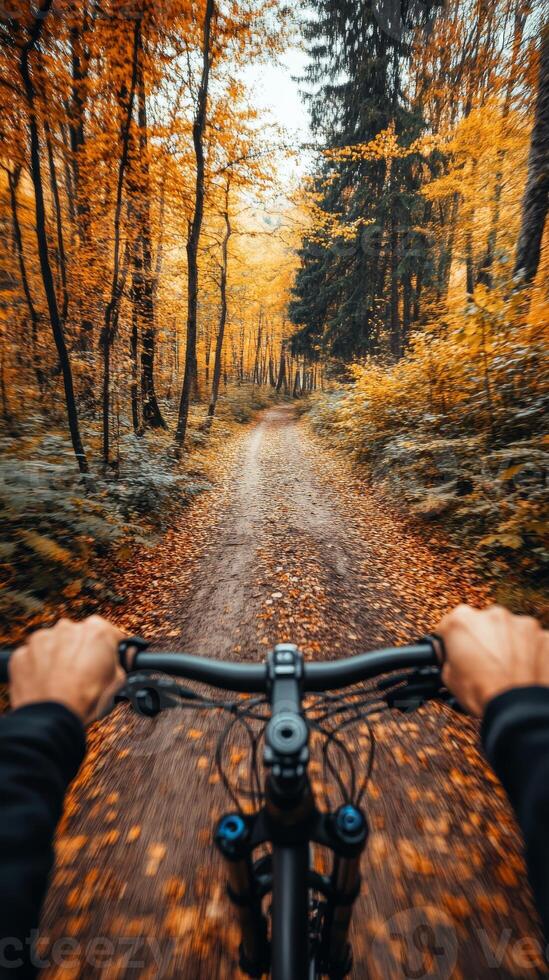 Riding a bicycle. First person perspective of hands on bike handlebars, autumn trail, PoV, vertical photo