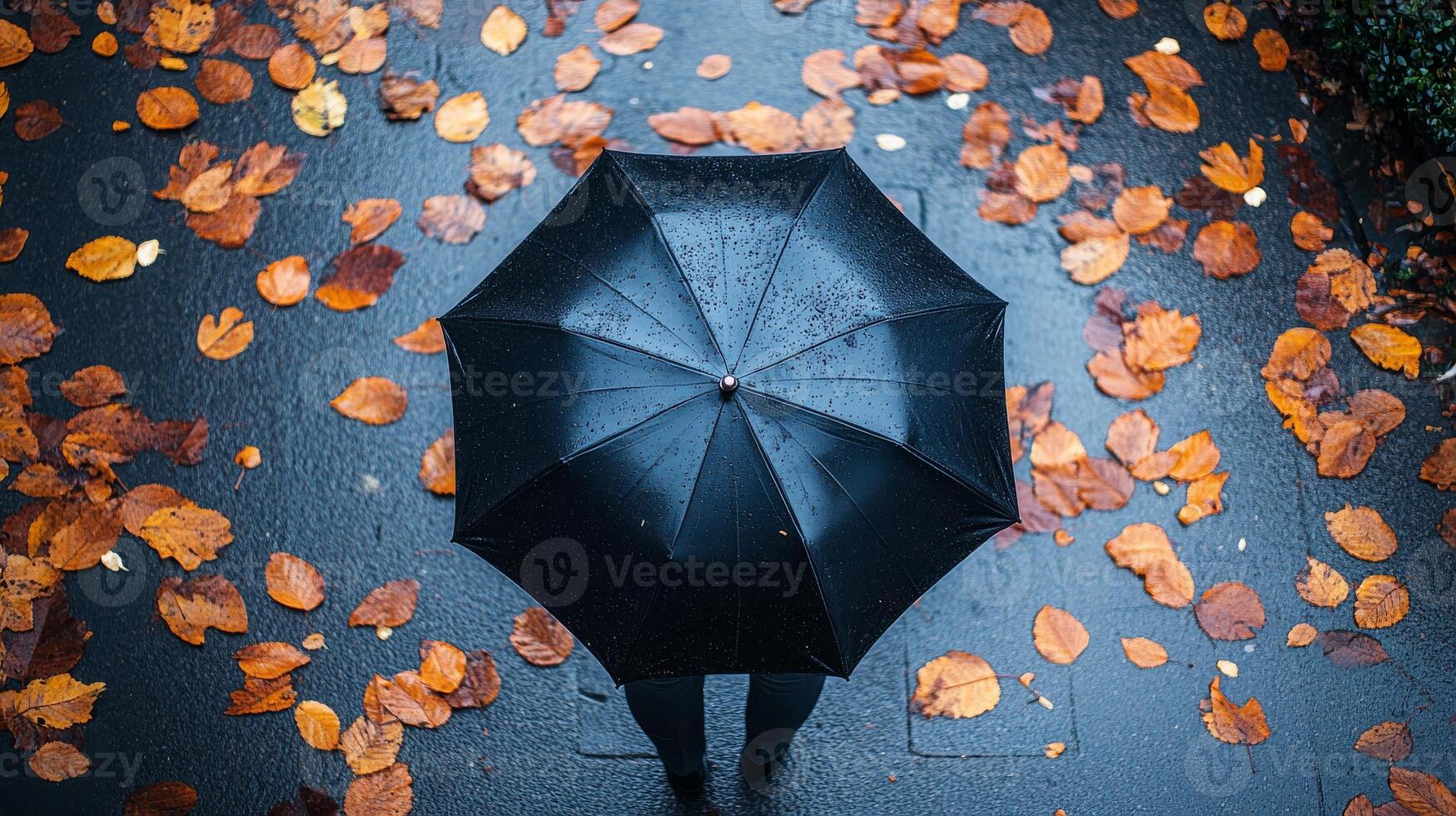 Top view of person under an umbrella, with autumn fallen leaves on the sidewalk. Fall season, rainy photo