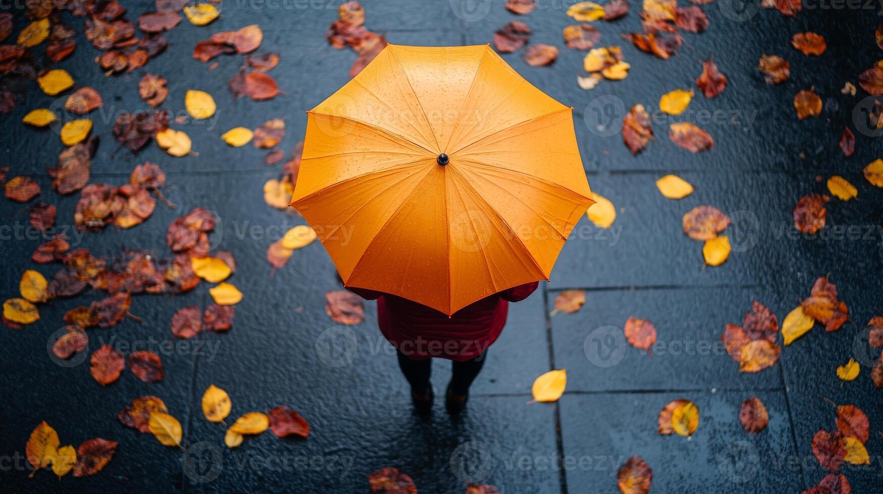 Top view of person under a yellow umbrella held by hands, with autumn fallen leaves on the sidewalk photo