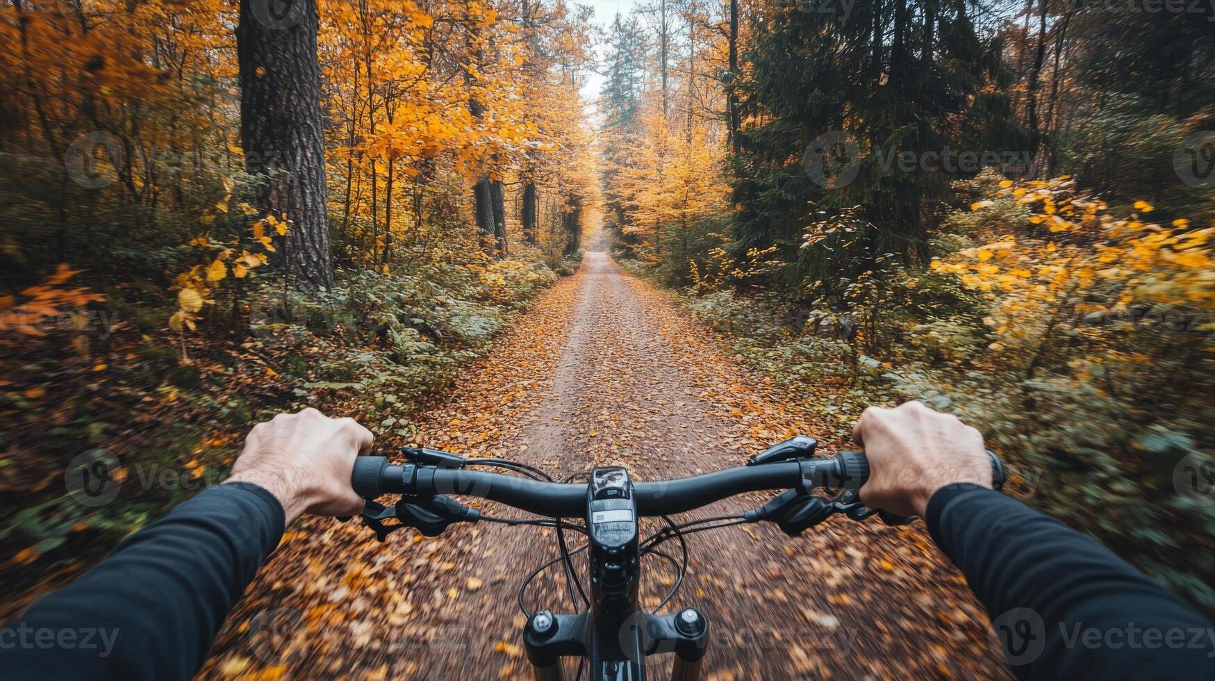 Riding a bicycle. First person perspective of hands holding bike handlebars, autumn trail, PoV image photo