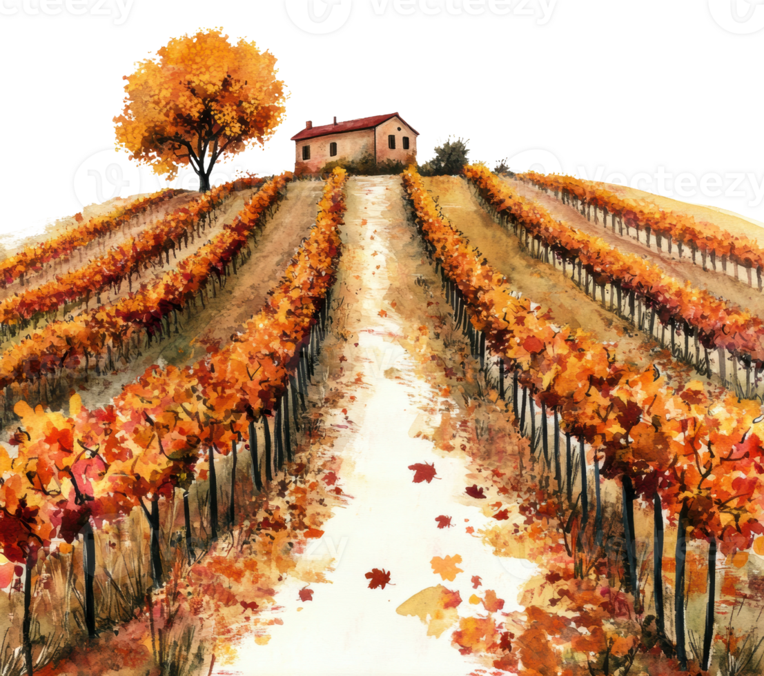 Autumn vineyard landscape with a rustic house, cut out - stock . png