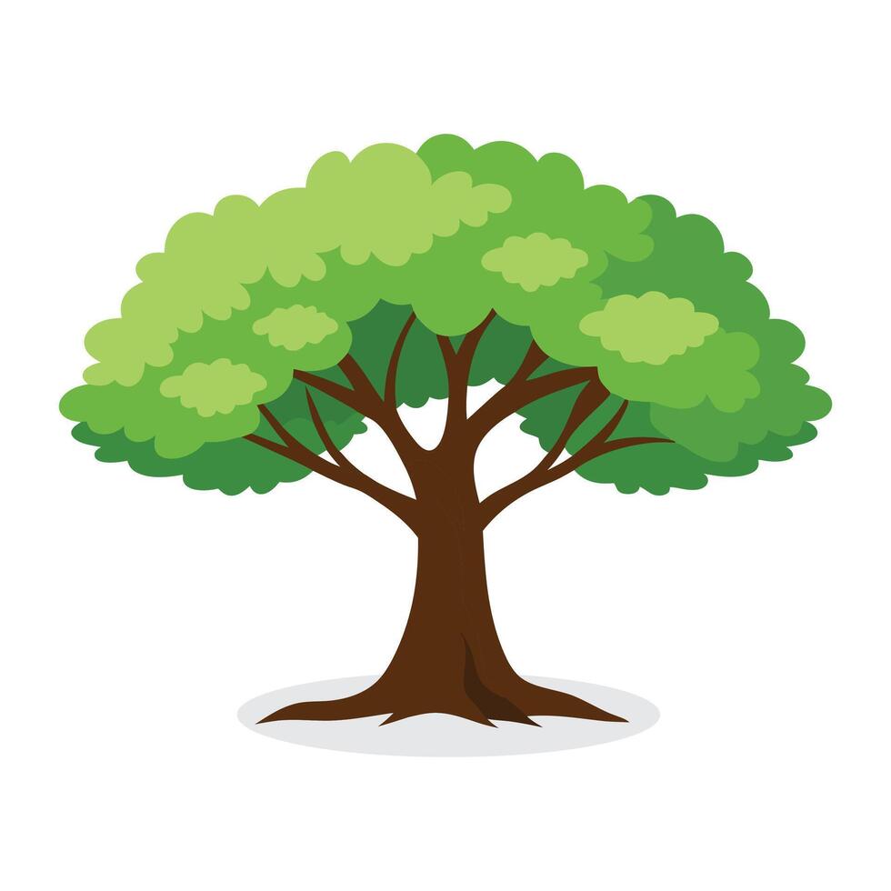 Peepal tree flat illustration on white background. vector
