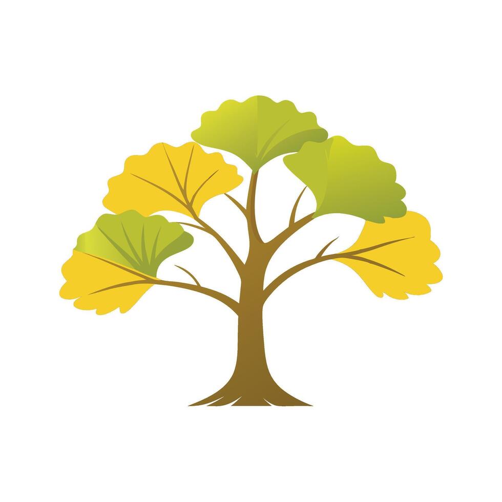 Ginkgo tree flat illustration on white background. vector