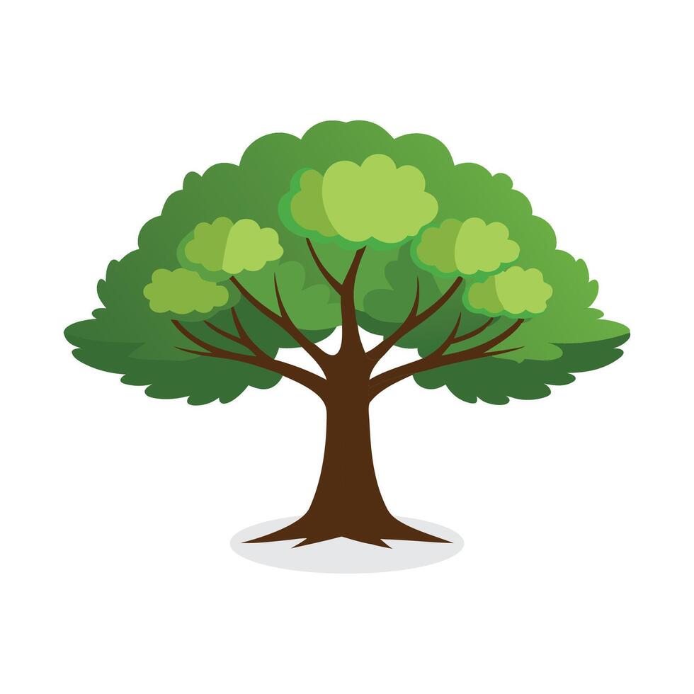 Sycamore tree flat illustration on white background vector