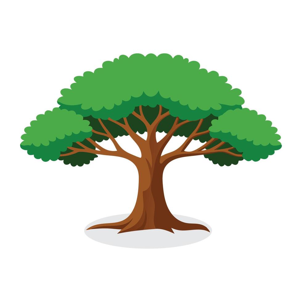 Ashoka tree flat illustration on white background vector