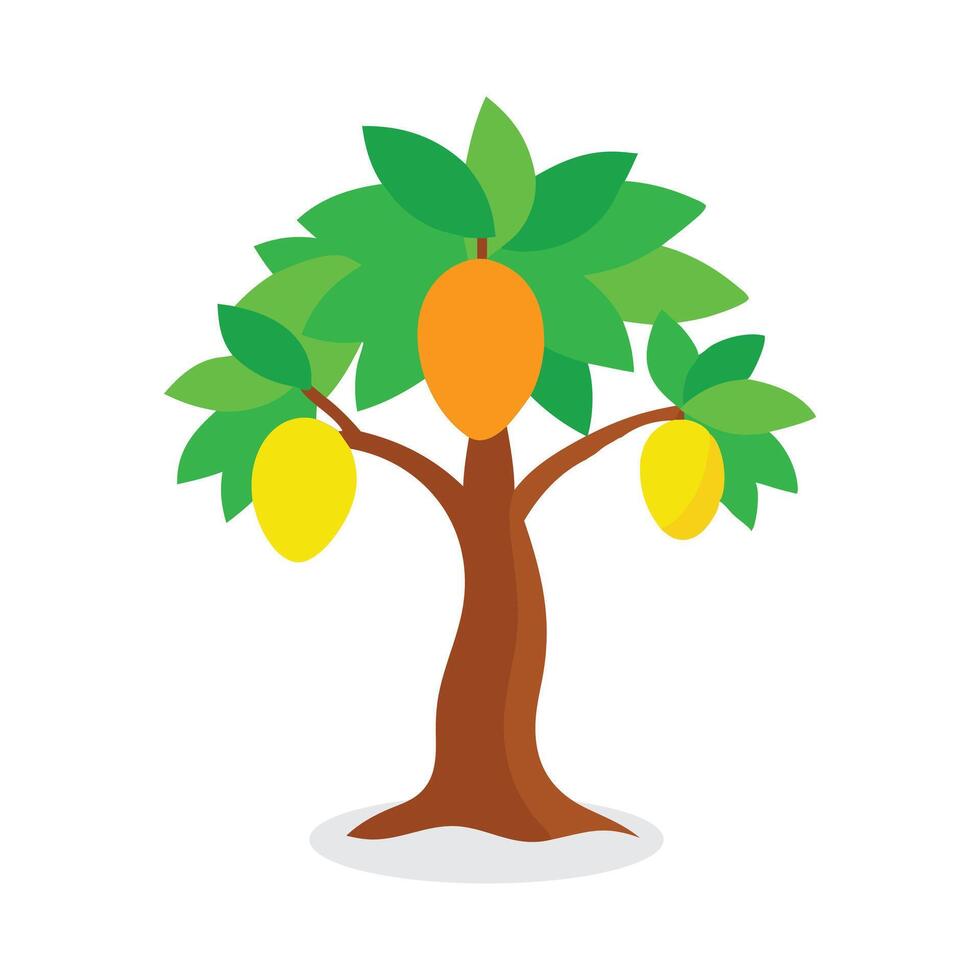 Mango tree flat illustration on white background. vector