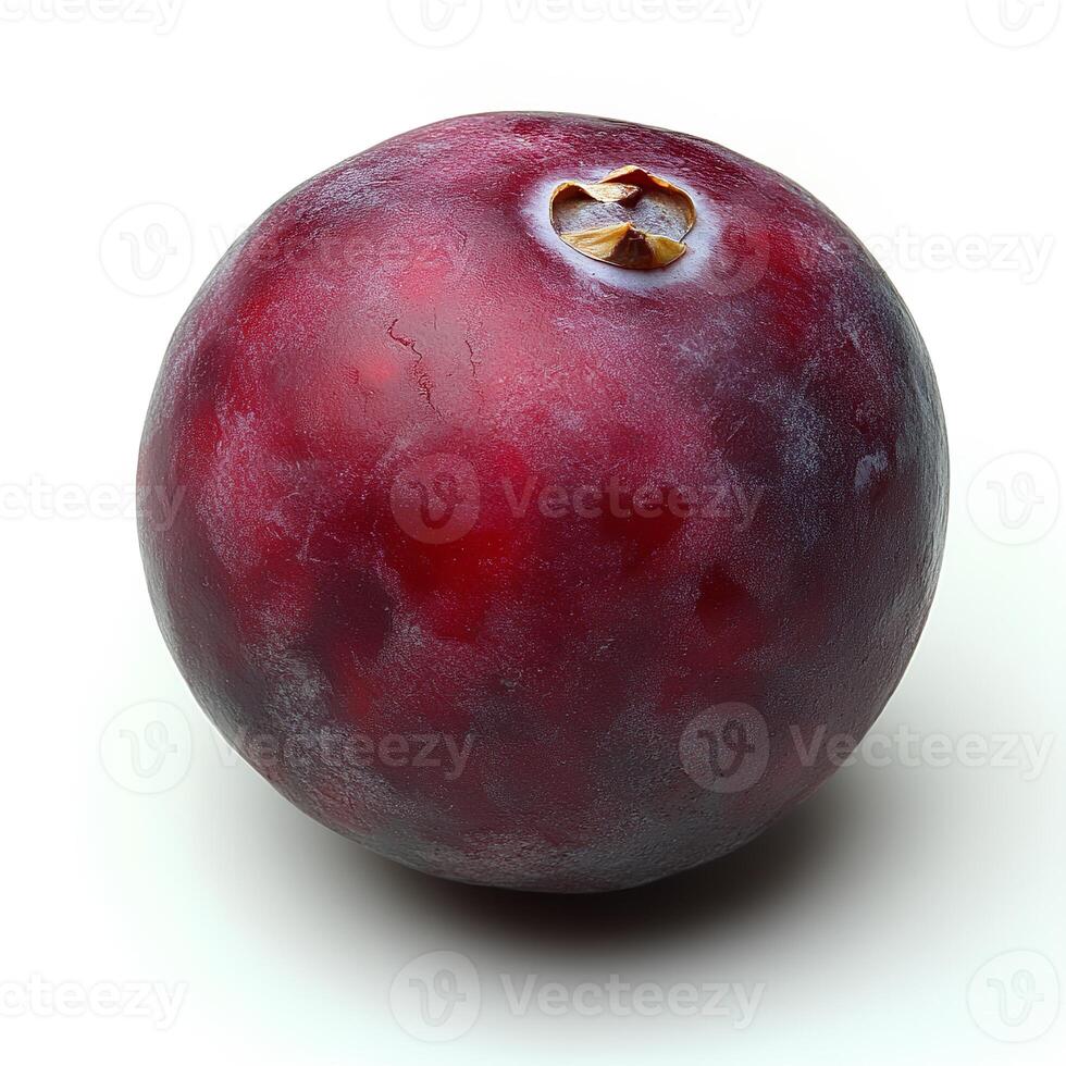 Cranberries isolated on white background with shadow. Cranberry fruit for thanksgiving dinner during autumn fall harvest photo