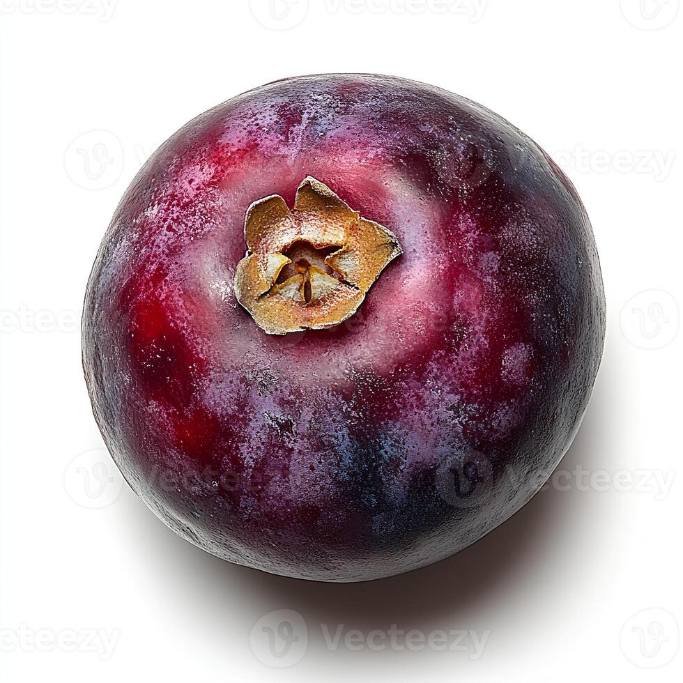 Cranberries isolated on white background with shadow. Cranberry fruit for thanksgiving dinner during autumn fall harvest photo