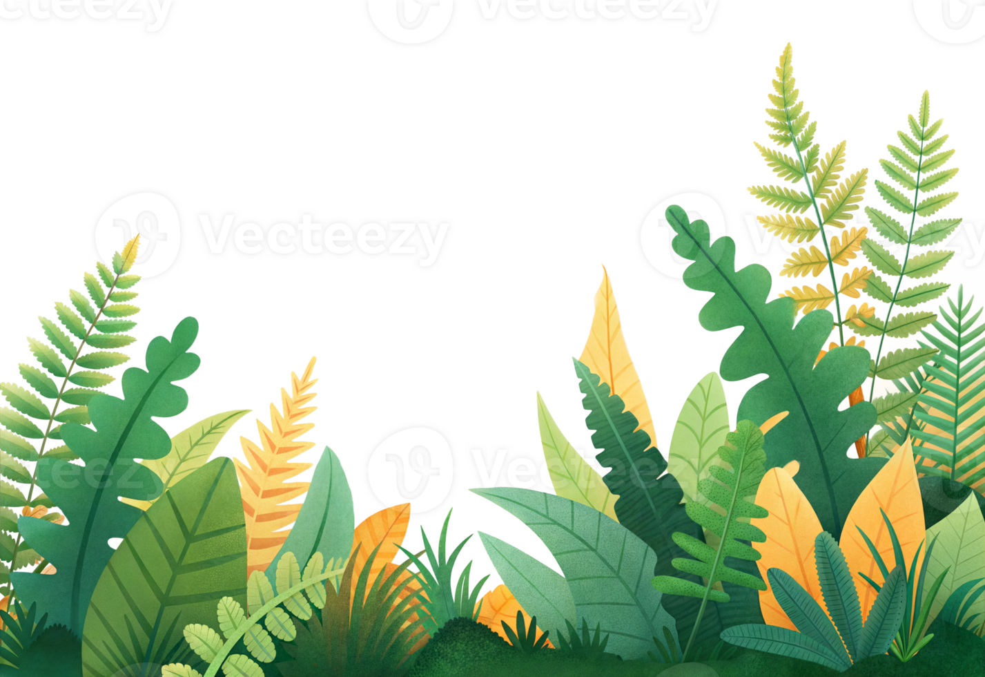 Lush green foliage with ferns in a bright setting, cut out - stock . png