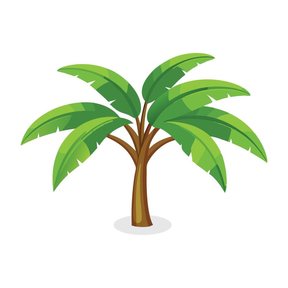 Banana tree flat illustration on white background vector