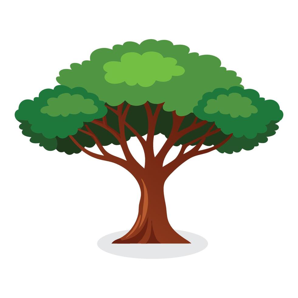 Mahogany tree flat illustration on white background vector