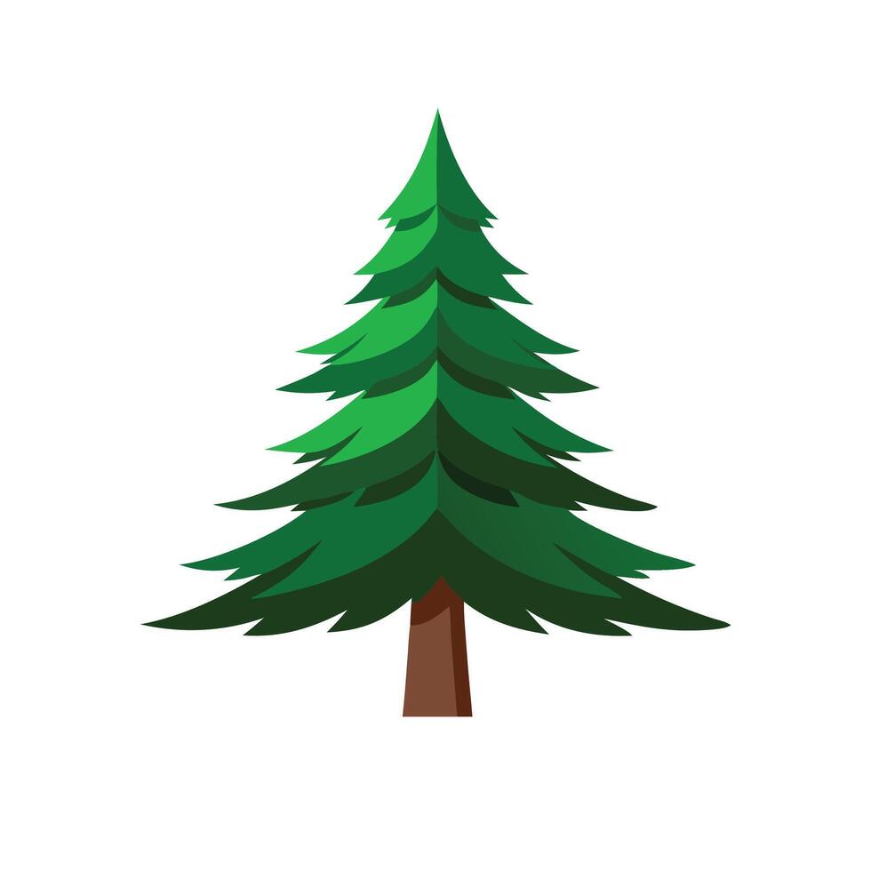 Pine tree flat illustration on white background vector