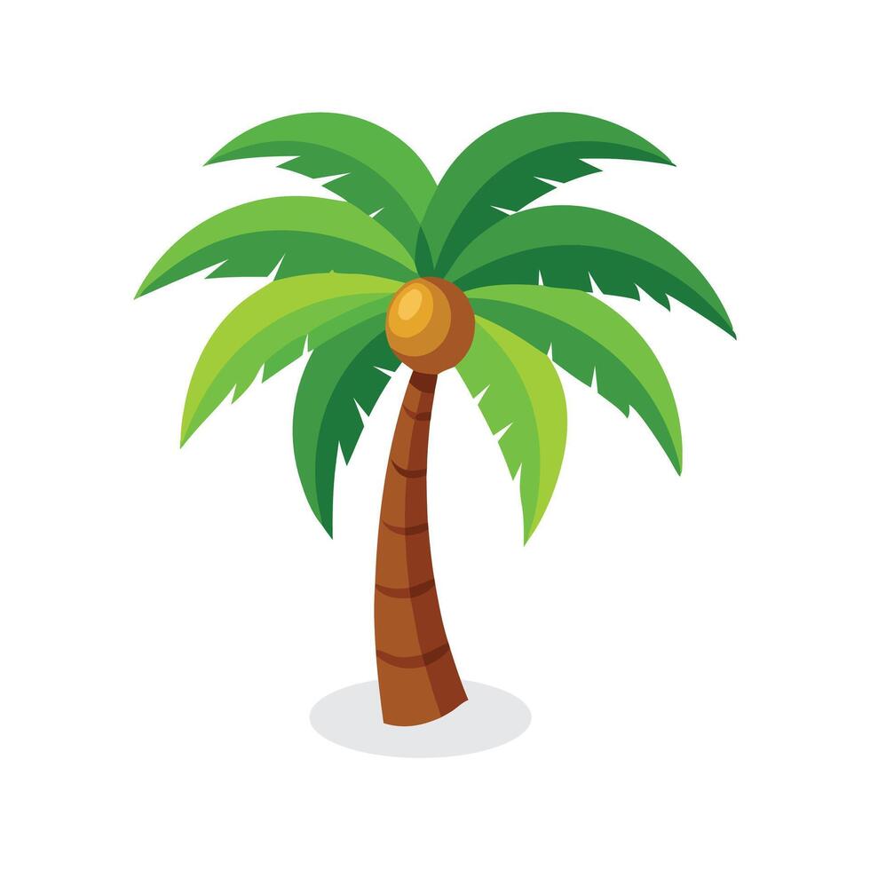 Coconut tree flat illustration on white background. vector