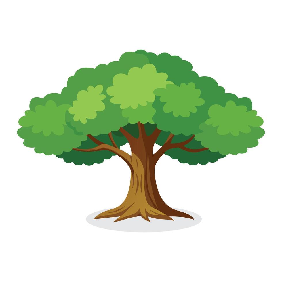 Oak tree flat illustration on white background vector