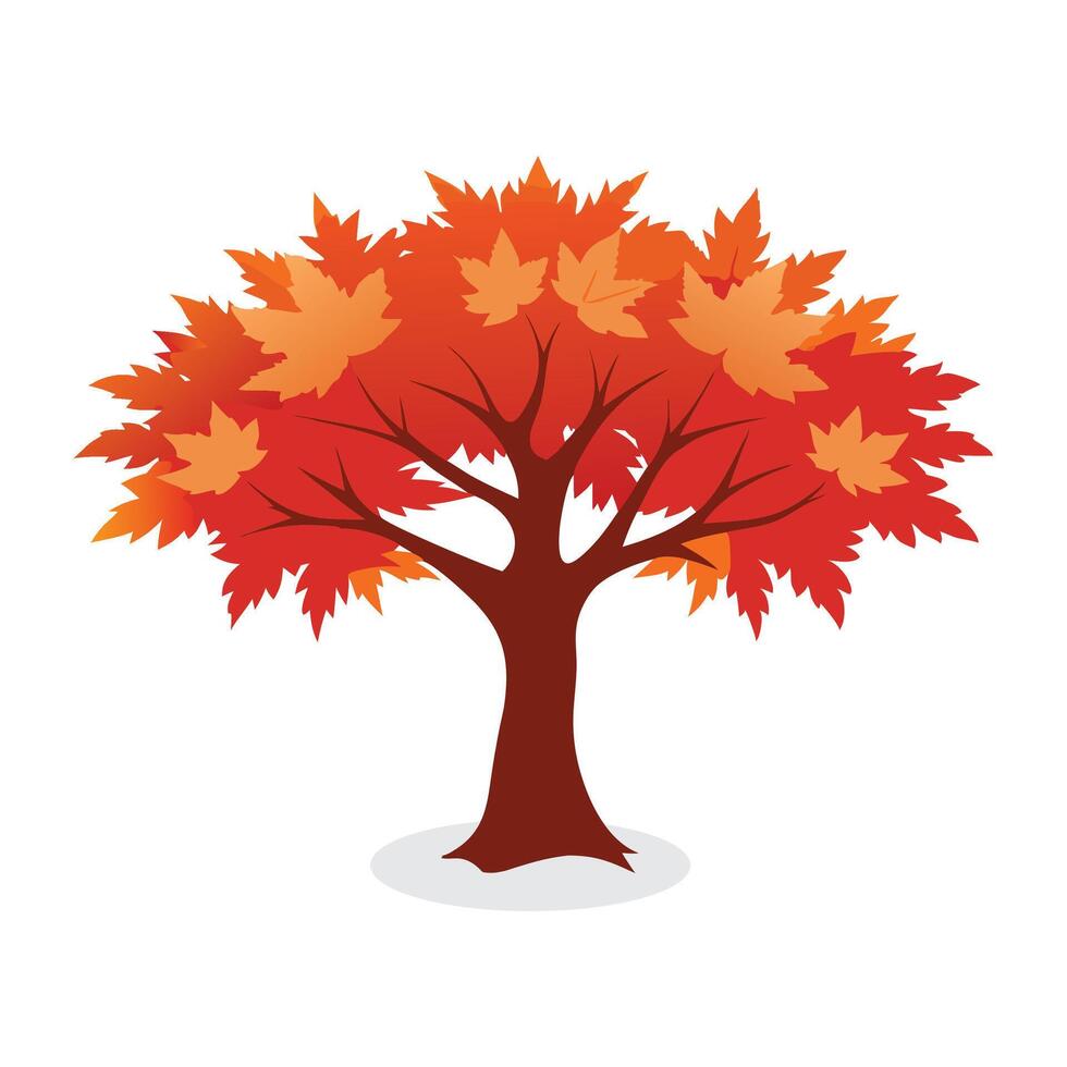 Maple tree flat illustration on white background. vector