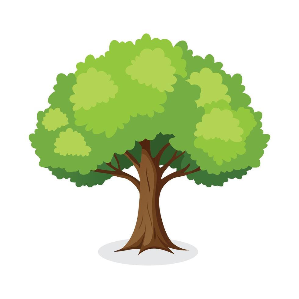Linden tree flat illustration on white background vector