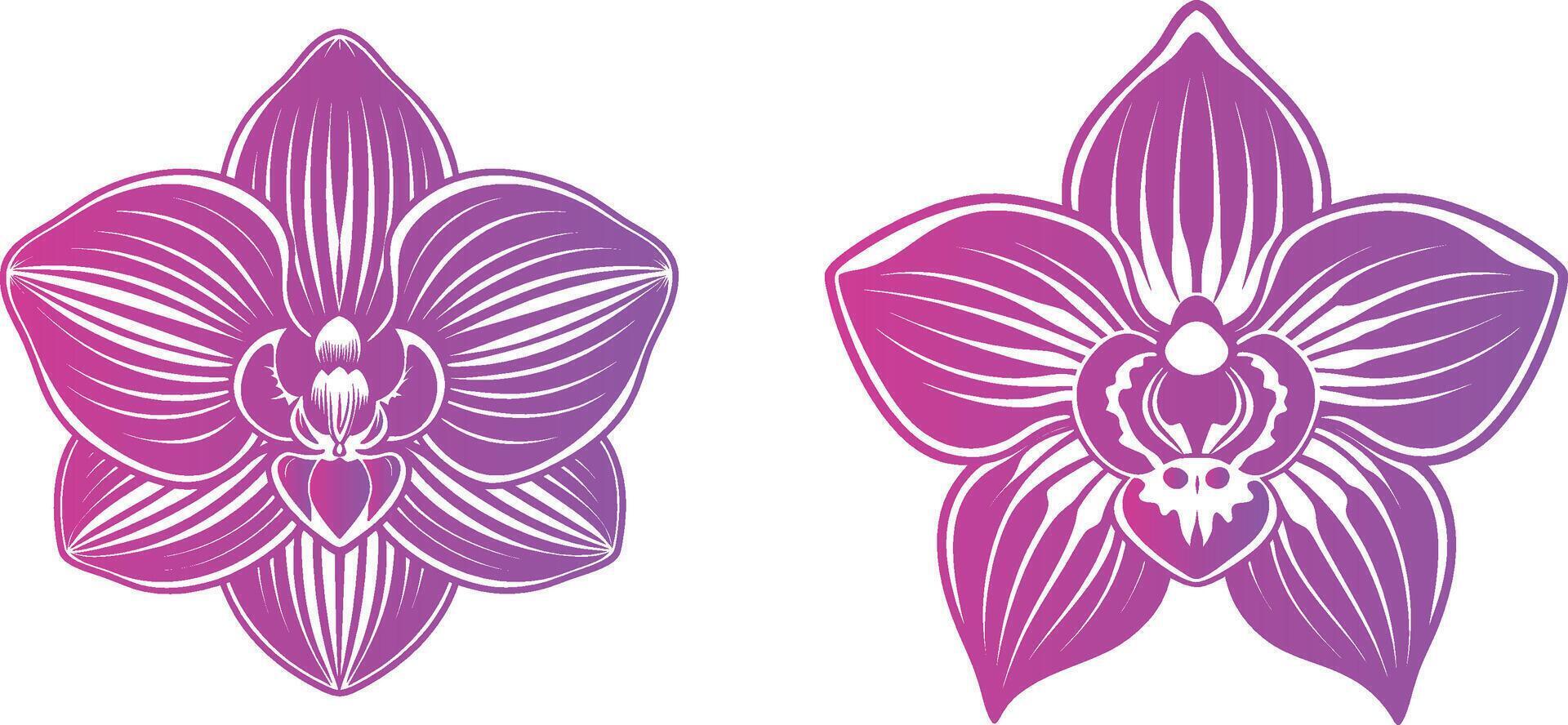 Orchid flower illustration design vector