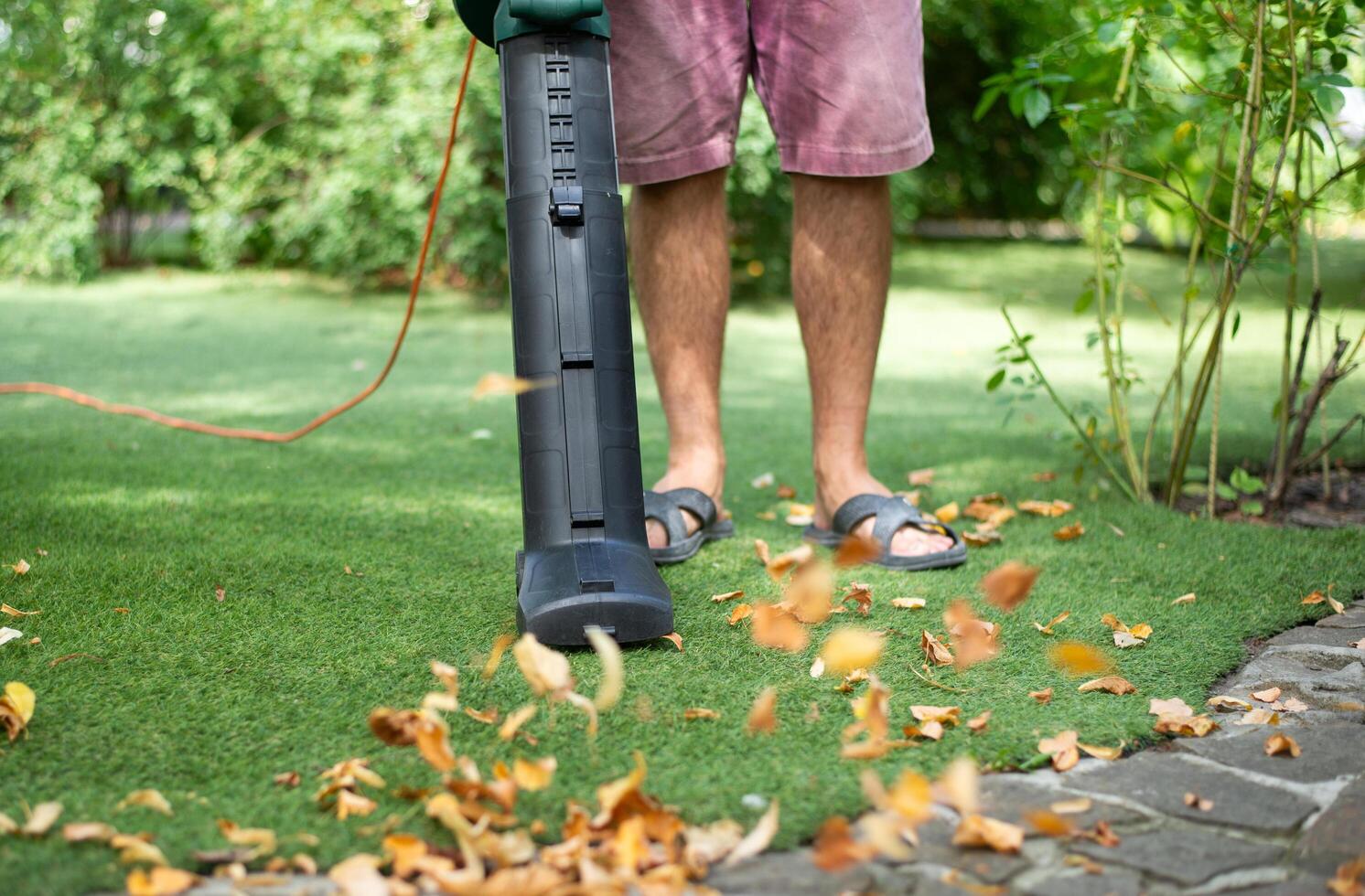 Cordless Leaf Blowers. handheld, cordless, electric leaf blower in a garden, selective focus. Autumn, fall gardening works in a backyard, on a lawn, grass. Garden works. photo