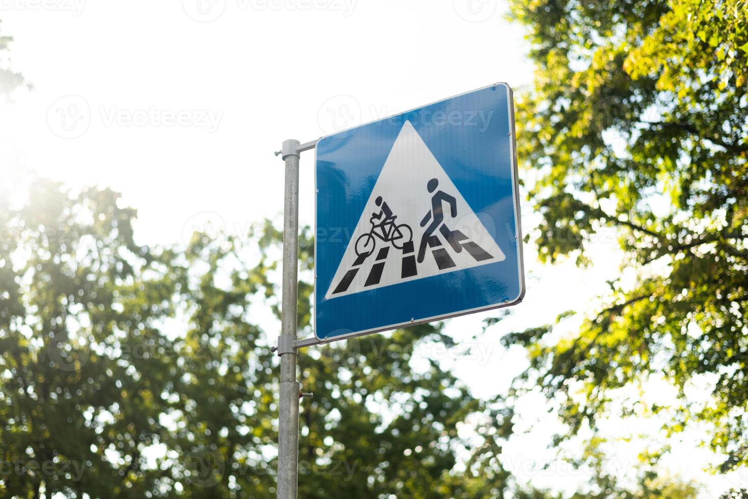 Blue and white Pedestrian and Bicycles Crossing road sign on green lushy sunny background. photo