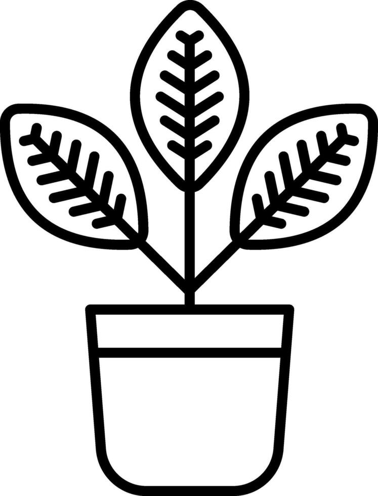 croton illustration design vector