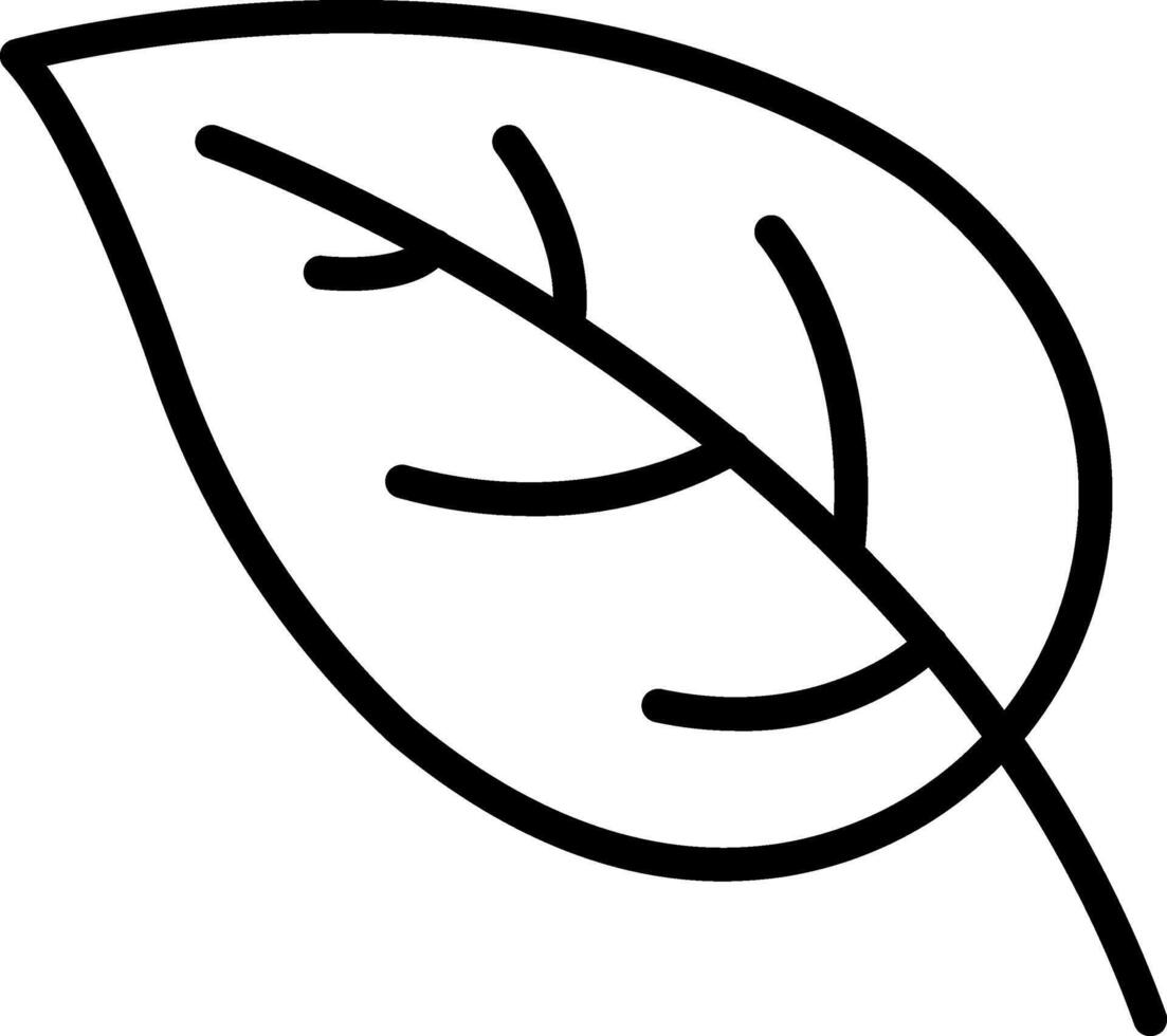 leaf illustration design vector