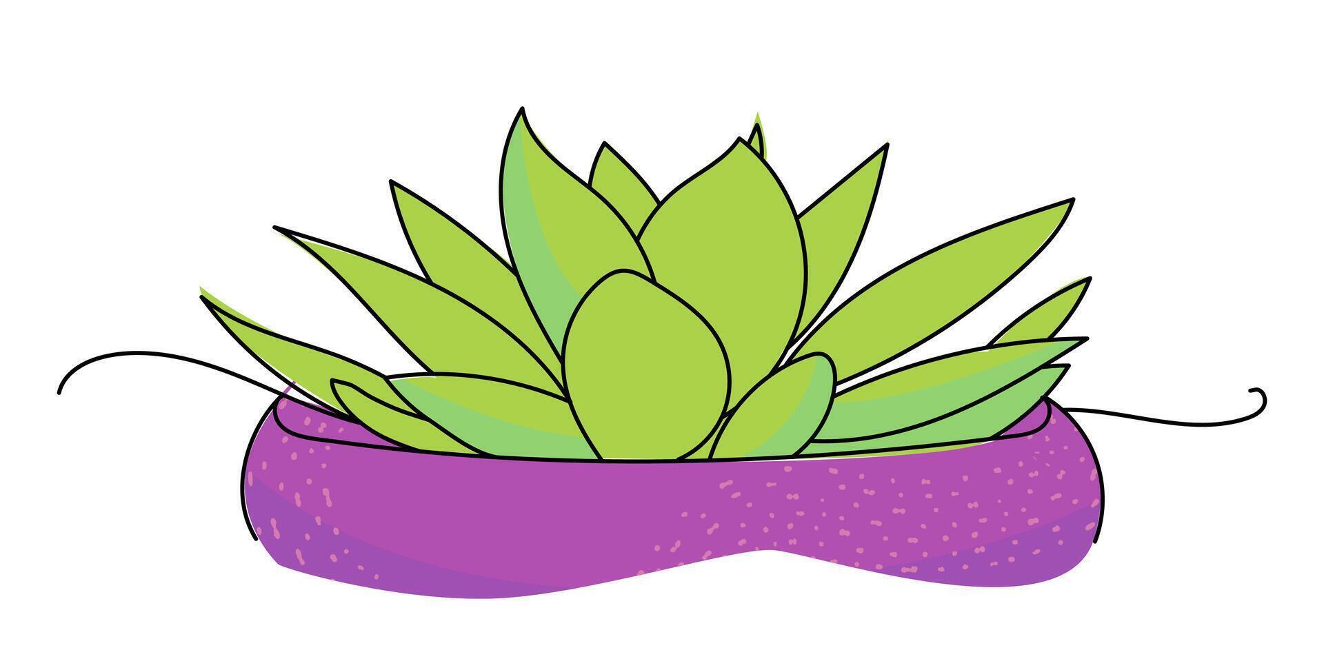 line continuous green succulent house plant in purple pot. Outline drawing, botanical illustration. Flowerpot icon. Leaves silhouette. Minimal floral print, banner, card, poster, logo, sign, symbol vector