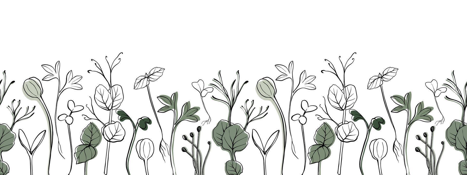Seamless banner with hand drawn microgreen illustration. Contour sprouts of watercress, spinach, mustard cress and peas, radish, onion, sunflower, basil plant. Frame for menu, healthy lifestyle vector