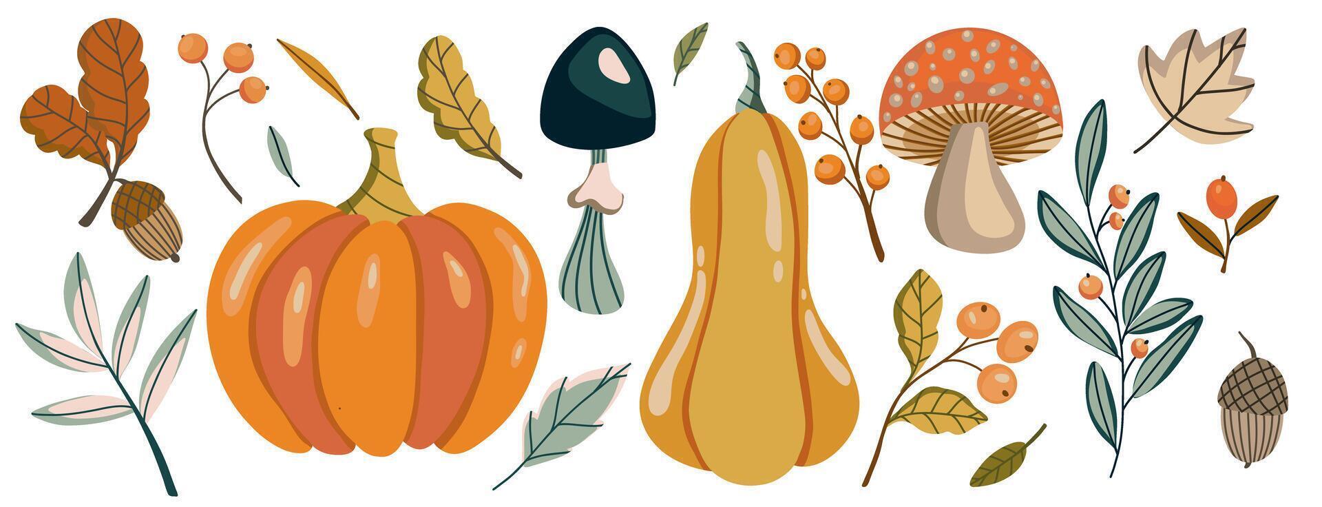 flat autumn harvest themed illustration with pumpkins, squash, mushrooms, acorns, leaves, and berries, showcasing colors and elements of fall season. Thanksgiving and Harvest Day set vector
