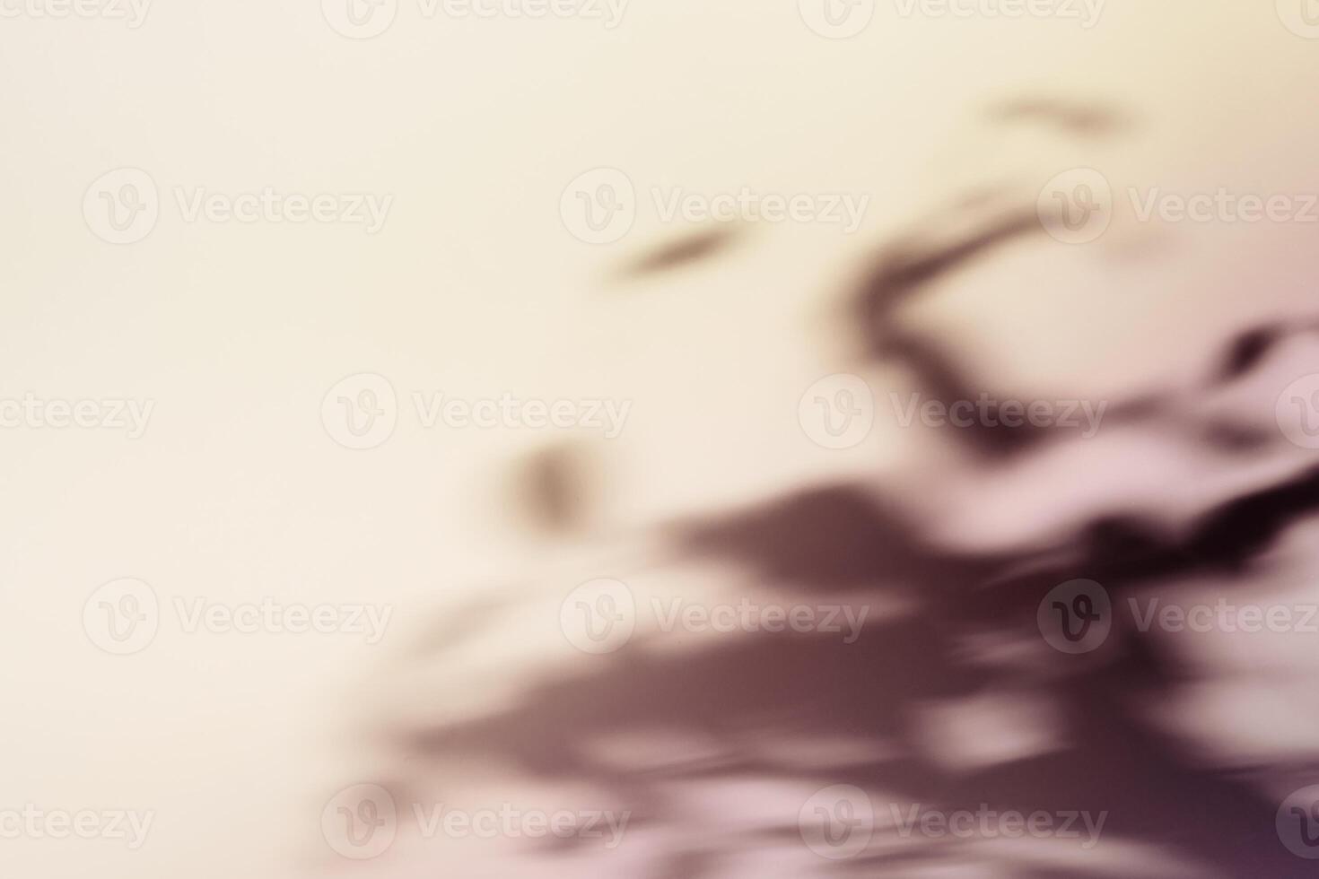 Natural foliage shadow on gradient paper background. Abstract pastel floral backdrop. Soft light photo