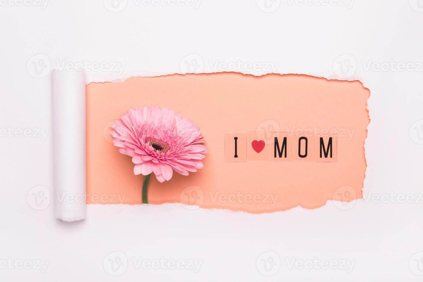 Creative layout made of I love mom text and pink gerbera flower on peach background. Simple torn hole paper art. I love mom concept photo