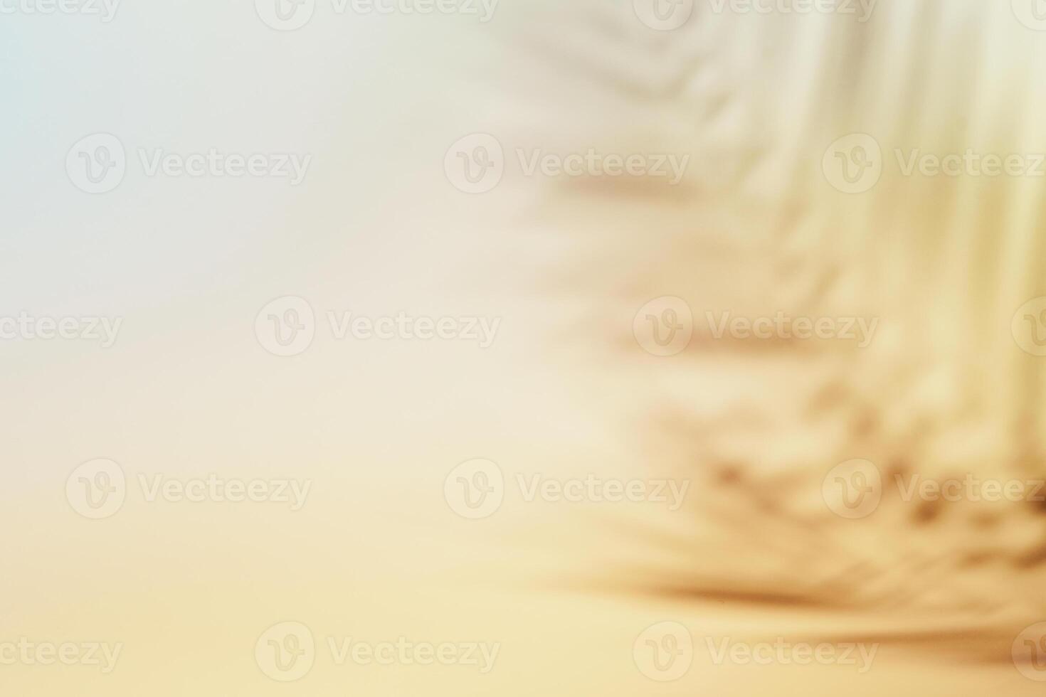 Natural palm leaves shadow on gradient paper background. Abstract neutral nature tropical backdrop. Soft light photo