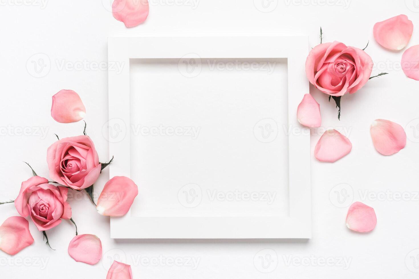Square white frame and pink roses on white background. Beautiful flower arrangement for your design photo