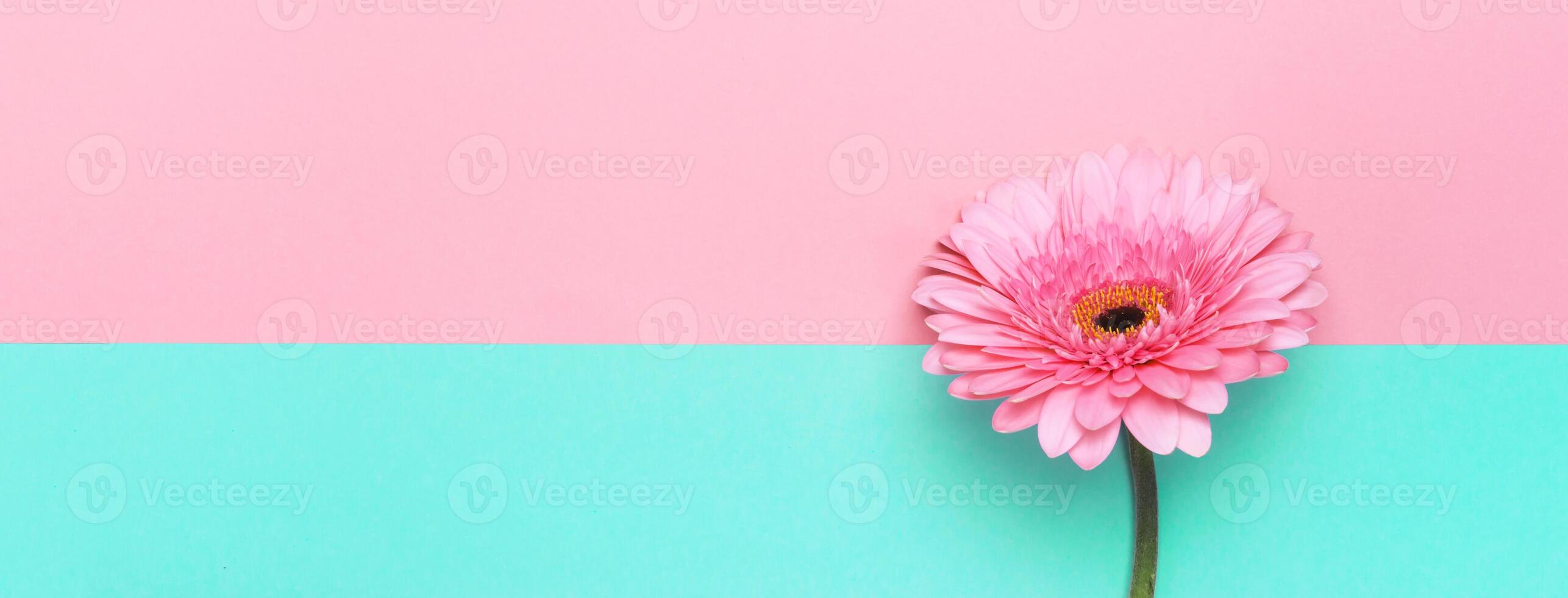 Elegant pink flower on geometrical paper banner. Summer holiday Backdrop for your design photo